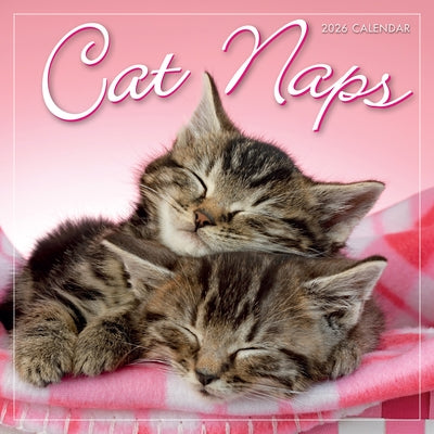 2026 Cat Naps Mini Calendar by Sellers Publishing, Inc