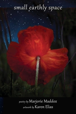 Small Earthly Space by Maddox, Marjorie