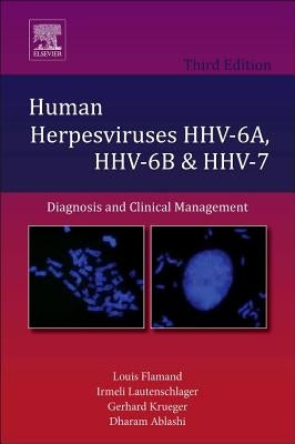 Human Herpesviruses Hhv-6a, Hhv-6b and Hhv-7: Diagnosis and Clinical Management Volume 12 by Flamand, Louis