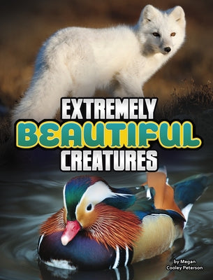 Extremely Beautiful Creatures by Peterson, Megan Cooley