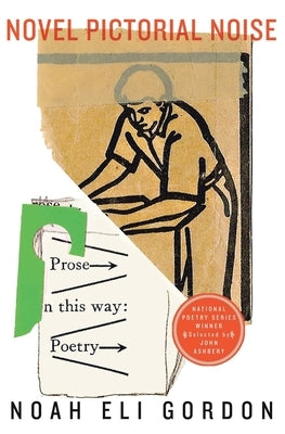 Novel Pictorial Noise by Gordon, Noah Eli