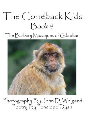 The Comeback Kids -- Book 9 -- The Barbary Macaques of Gibraltar by Weigand, John D.