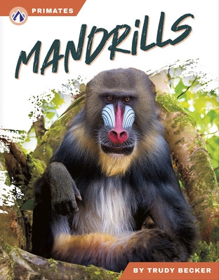 Mandrills by Becker, Trudy