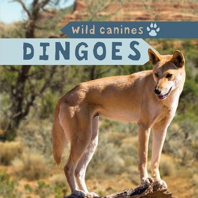 Dingoes by McKinnon, Elaine