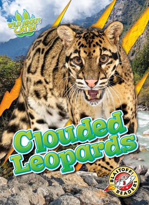 Clouded Leopards by Anderson, Shannon