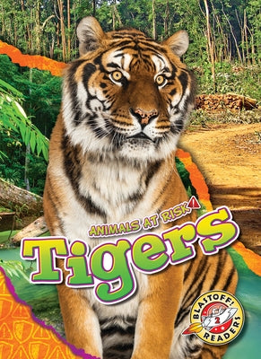 Tigers by Grack, Rachel