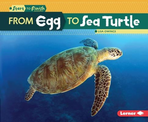 From Egg to Sea Turtle by Owings, Lisa