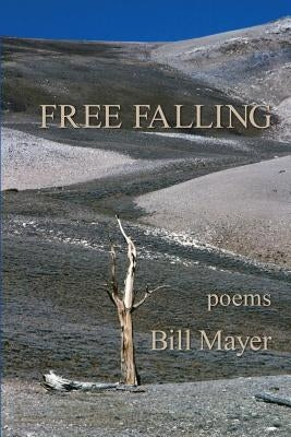 Free Falling by Mayer, Bill