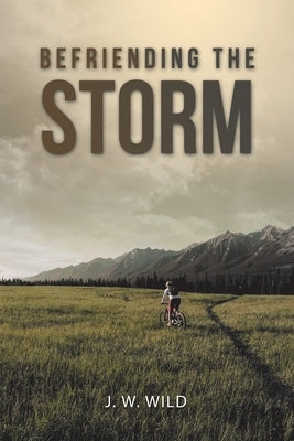 Befriending the Storm by Wild, J. W.