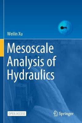 Mesoscale Analysis of Hydraulics by Xu, Weilin
