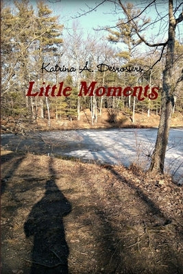 Little Moments by Desrosiers, Katrina