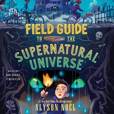 Field Guide to the Supernatural Universe by Noël, Alyson
