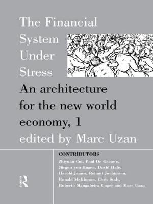 The Financial System Under Stress: An Architecture for the New World Economy by Uzan, Marc