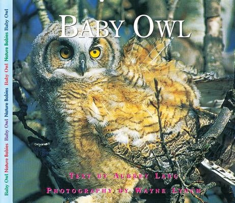 Baby Owl by Lang, Aubrey