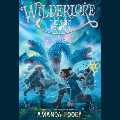 The Night Compass by Foody, Amanda