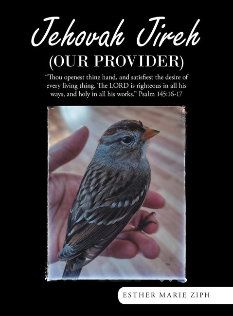 Jehovah Jireh (Our Provider) by Ziph, Esther Marie