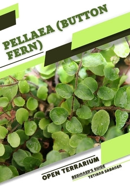 Pellaea (Button Fern): Open terrarium, Beginner's Guide by Sabanen, Tetiana