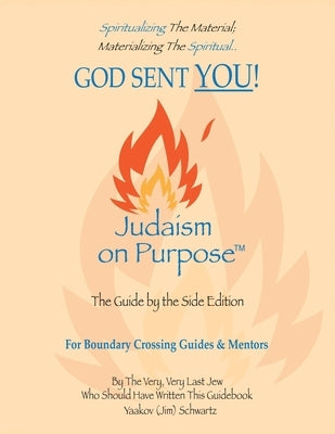 God Sent You! by Schwartz, James D.