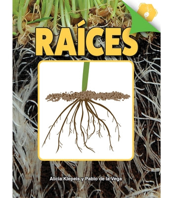 Raíces: Roots by Klepeis, Alicia
