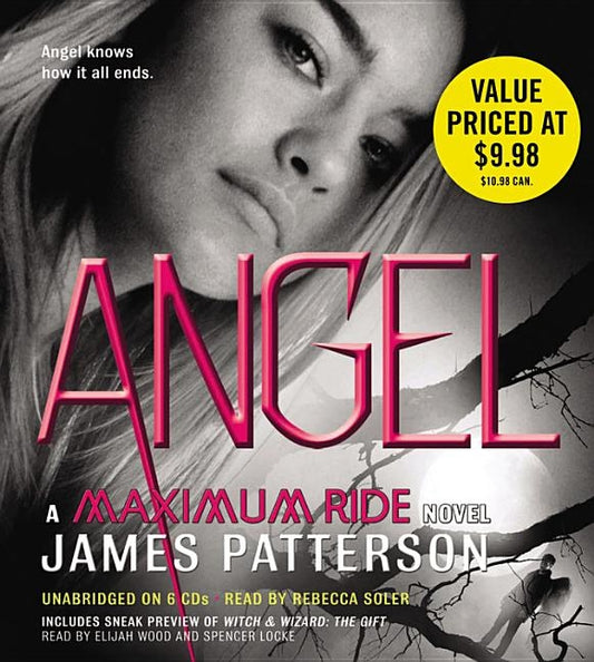 Angel by Patterson, James