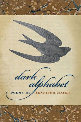 Dark Alphabet by Maier, Jennifer