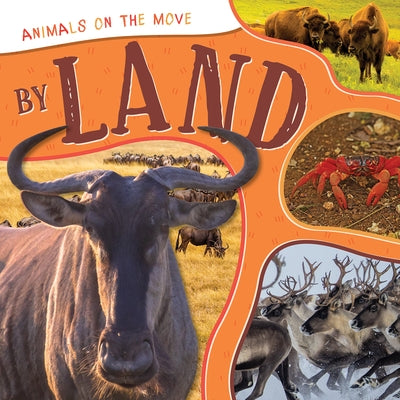 By Land by Nodes, Eliza