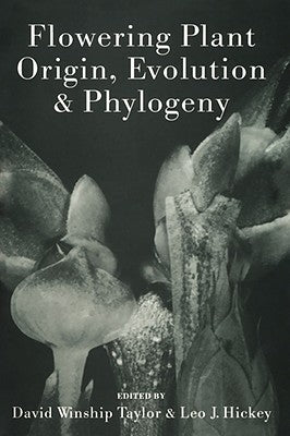 Flowering Plant Origin, Evolution & Phylogeny by Taylor, David W.
