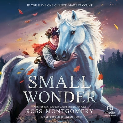 Small Wonder by Montgomery, Ross