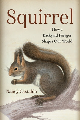 Squirrel: How a Backyard Forager Shapes Our World by Castaldo, Nancy