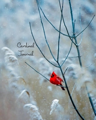 Cardinal Journal: Inspirational, Winter Season, Cardinal Bird Notebook, Journal by Journals, June Bug