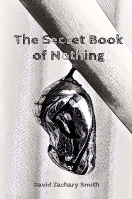 The Secret Book of Nothing by Smith, David Zachary