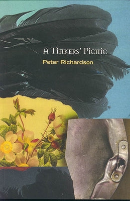 A Tinker's Picnic by Richardson, Peter