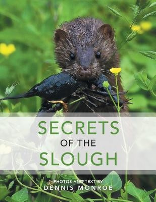 Secrets of the Slough by Monroe, Dennis