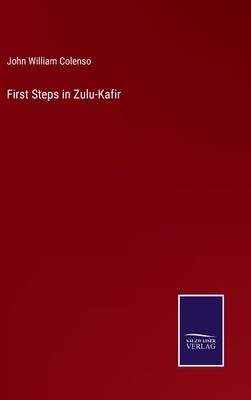 First Steps in Zulu-Kafir by Colenso, John William
