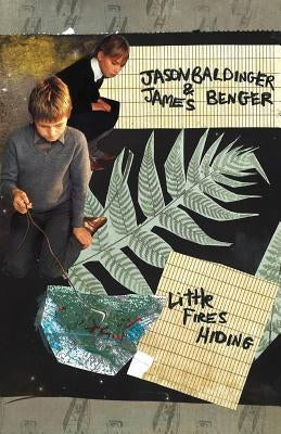 Little Fires Hiding by Baldinger, Jason