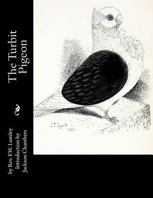 The Turbit Pigeon by Chambers, Jackson
