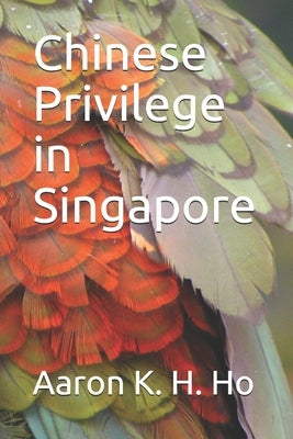Is It Because I'm Chinese?: Chinese Privilege in Singapore by Ho, Aaron K. H.