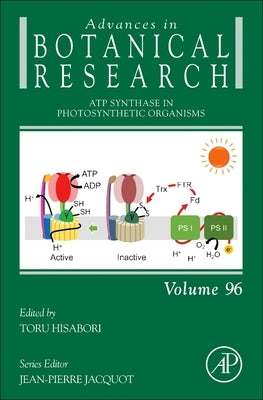 Atp Synthase in Photosynthetic Organisms: Volume 96 by Hisabori, Toru