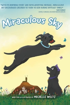 Miraculous Sky by Weltz, Michelle