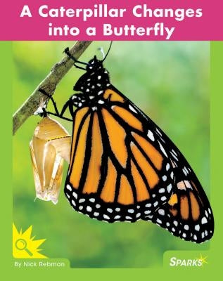 A Caterpillar Changes Into a Butterfly by Rebman, Nick