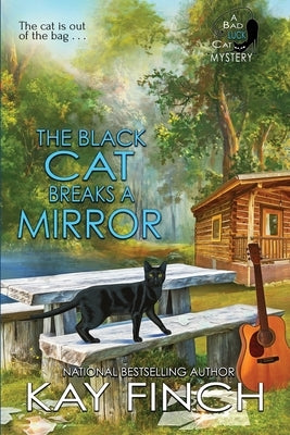 The Black Cat Breaks a Mirror by Finch, Kay