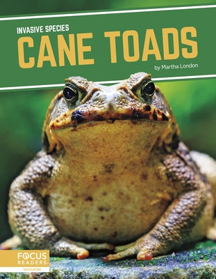 Cane Toads by London, Martha