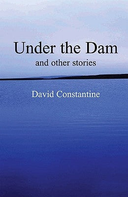 Under the Dam: And Other Stories by Constantine, David