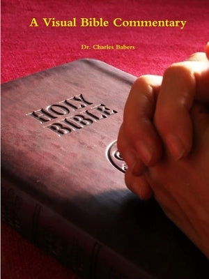 A Visual Bible Commentary by Babers, Charles