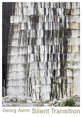 Georg Aerni--Silent Transition: New Works by Pfrunder, Peter