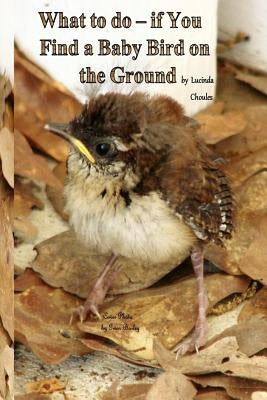 What to do- if You Find a Baby Bird on the Ground by Choules, Lucinda