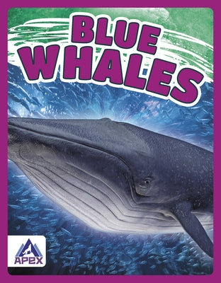 Blue Whales by Chanez, Katie