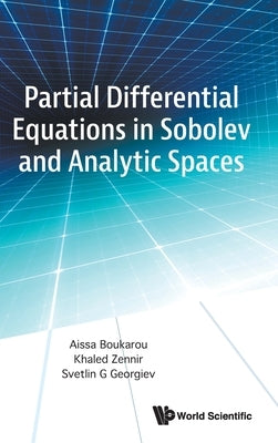 Partial Differential Equations in Sobolev and Analytic Spaces by Aissa Boukarou