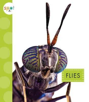 Flies by Black, Nessa