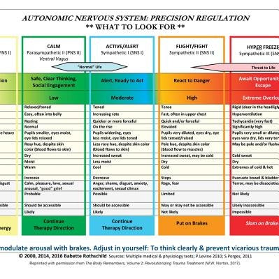 Autonomic Nervous System Table: Laminated Card by Rothschild, Babette